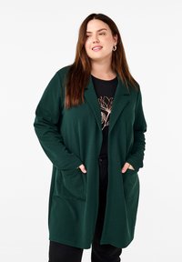 Длинный блейзер Длинный блейзер