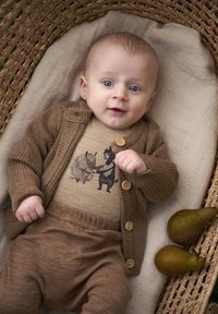 Брюки Брюки