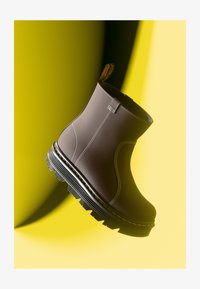 Ботильоны Ботильоны