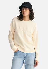 Толстовка Толстовка