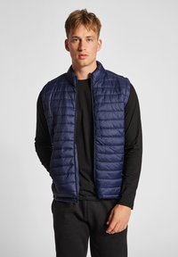 Жилет Жилет