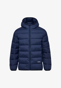 Зимняя куртка Зимняя куртка