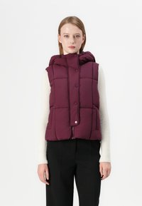 Жилет Жилет