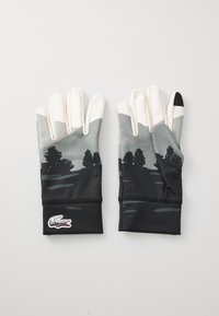 Перчатки Перчатки