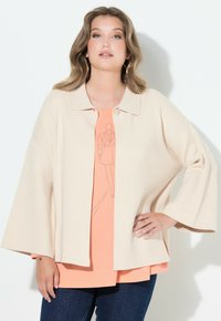 Жилет Жилет