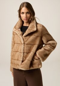 Зимняя куртка Зимняя куртка