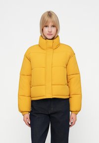 Зимняя куртка Зимняя куртка