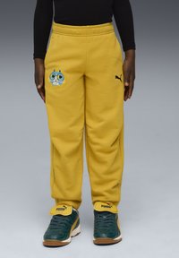 Спортивные штаны Спортивные штаны