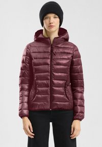 Зимняя куртка Зимняя куртка