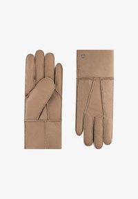 Перчатки Перчатки