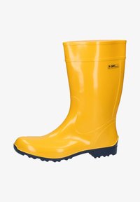 Резиновые сапоги Резиновые сапоги