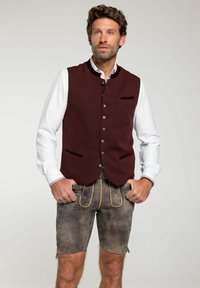 Жилет Жилет