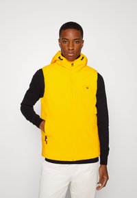 Жилет Жилет