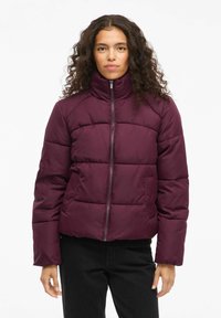 Зимняя куртка Зимняя куртка