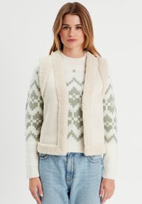 Жилет Жилет