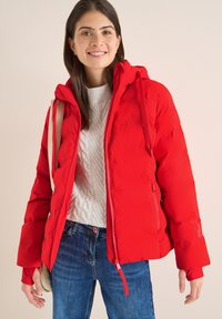 Зимняя куртка Зимняя куртка