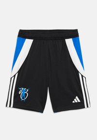 Шорты Шорты